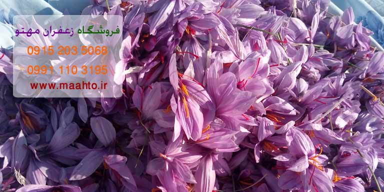 خرید زعفران در ایران